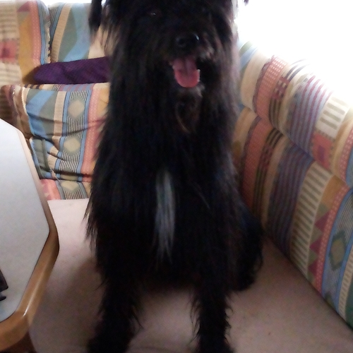 Urlaub im Schwarzwald (1)